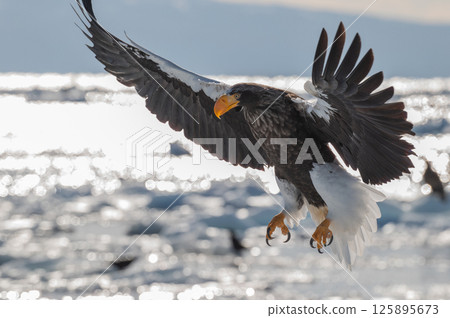 知床冬天 125895673