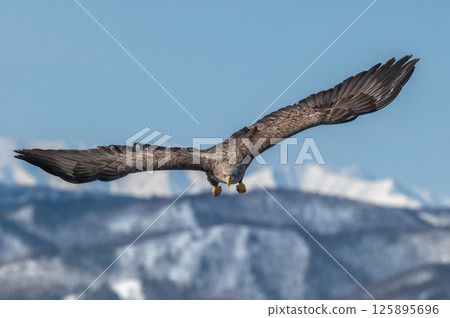 Shiretoko winter 125895696