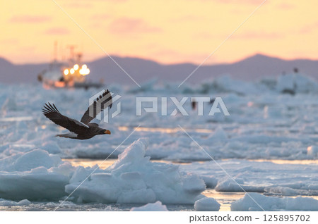 知床冬天 125895702