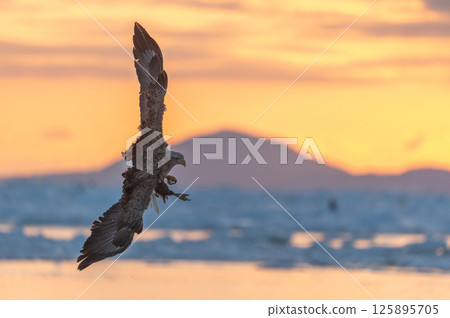 知床冬天 125895705