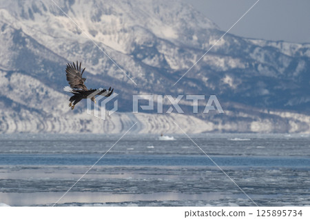 Shiretoko winter 125895734