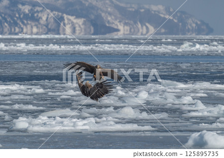 Shiretoko winter Shiretoko winter 125895735