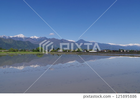 春天的信州、安曇野:眺望北阿爾卑斯山積雪未盡的常念山的稻田風光 春天的信州、安曇野:眺望北阿爾卑斯山積雪未盡的常念山的稻田風光 125895886
