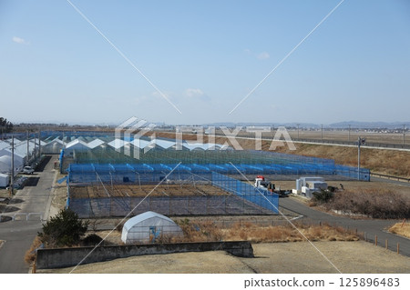 荒浜地區避難之丘 125896483