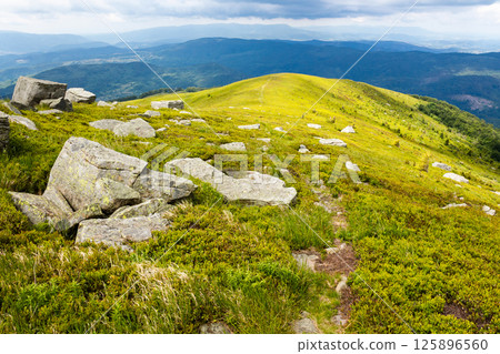 mountain landscape with cloudy sky in summer. picturesque highland of ukraine. travel nature background with rocks among grass on the slope of a hill. beautiful alpine scenery of carpathian range mountain landscape with cloudy sky in summer. picturesque highland of ukraine. travel nature background with rocks among grass on the slope of a hill. beautiful alpine scenery of carpathian range 125896560