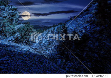 View from inside the canyon in mountains of romania with spruce forest on hillside at night. spooky nature scenery in full moon light 125896562