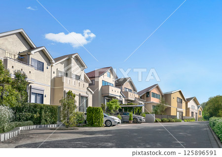 A bright residential area with beautiful sunlight filtering through the large trees A bright residential area with beautiful sunlight filtering through the large trees 125896591