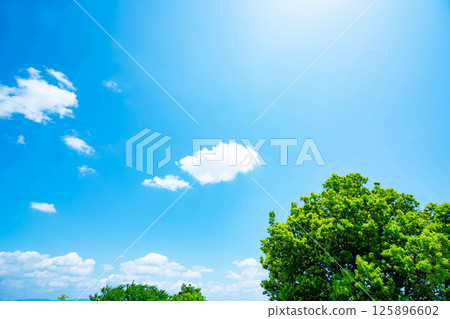 藍天，白雲和樹林 125896602