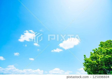 藍天，白雲和樹林 125896604