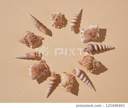 Round summer frame of brown seashells on beige background with hard shadows. A place for your text. Round summer frame of brown seashells on beige background with hard shadows. A place for your text. 125896801
