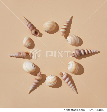 Round frame of brown shells on a beige background with hard shadows. A place for your text. 125896802