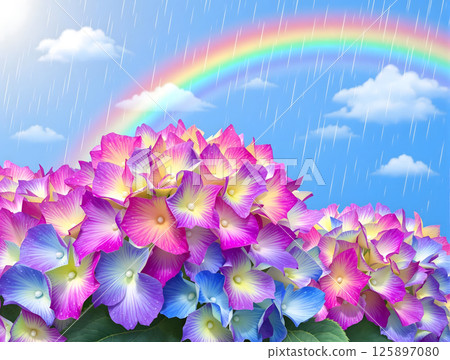 彩虹下的粉紅色至藍色繡球花和藍天下揮之不去的彩虹 125897080