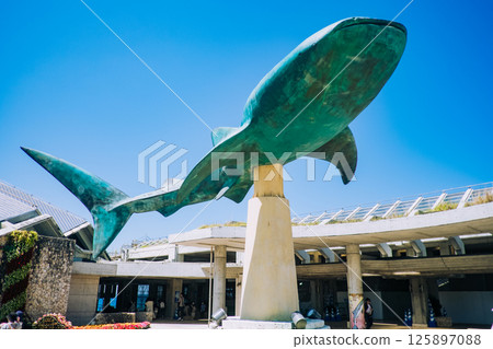 沖繩美麗海水族館入口 125897088