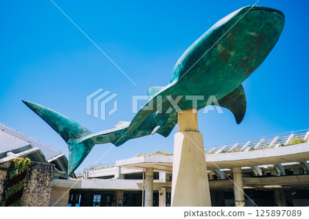 Okinawa Churaumi Aquarium entrance 125897089