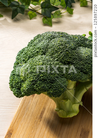 broccoli broccoli 125897210
