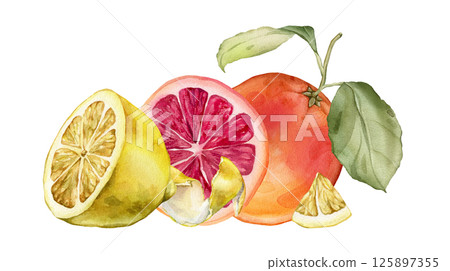 Composition with slice and whole Grapefruit and Lemon, Orange. Hand drawn watercolor illustration of orange tropical citrus fruit and leaves on white isolated background. Half grapefruit 125897355