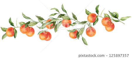 Grapefruit big Branch. Hand drawn watercolor illustration of orange red tropical citrus Food on white isolated background. Drawing of grapefruit tree with green leaves. Sketch of juicy for menu. 125897357