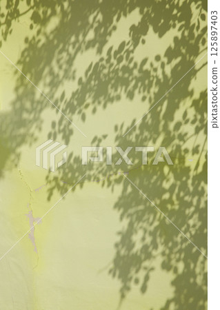 Soft light and shadows on simple textured walls. 125897403