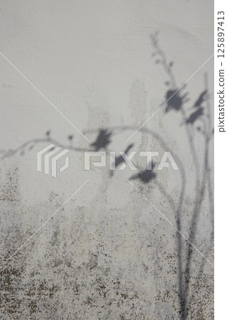 Soft light and shadows on simple textured walls. Soft light and shadows on simple textured walls. 125897413