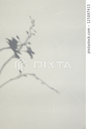 Soft light and shadows on simple textured walls. Soft light and shadows on simple textured walls. 125897415