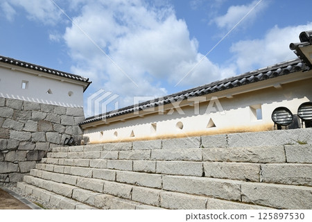 Oishi Shrine - Exterior of the main hall 125897530