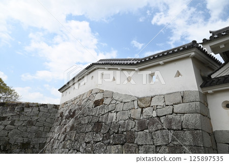 Oishi Shrine - Exterior of the main hall Oishi Shrine - Exterior of the main hall 125897535