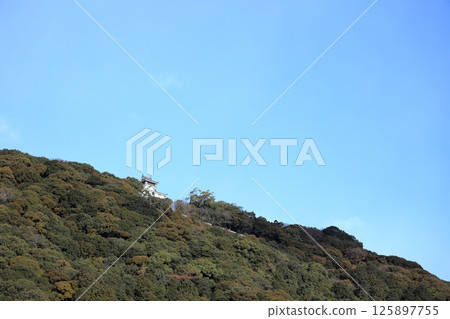 Iwakuni Castle (Yamaguchi) 125897755