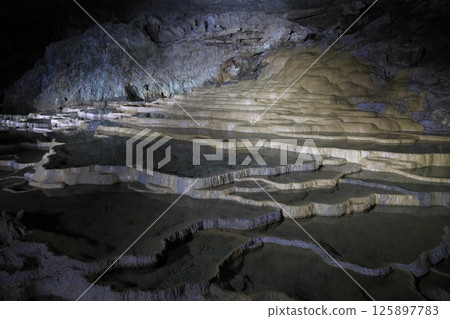 秋芳堂100盤（山口） 125897783