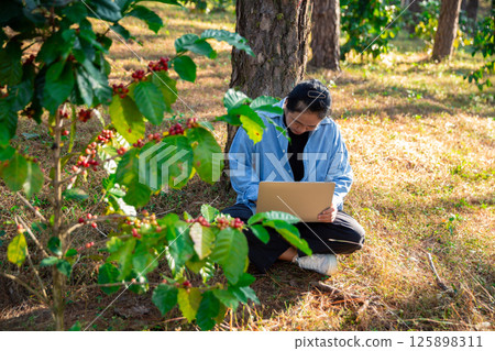 Harvest coffee bean ripe Red berries typing laptop computer check quality control plant coffee tree. Smart farmer using laptop in green coffee farm sustainable quality control agriculture technology 125898311