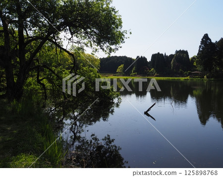 奈良縣龍王淵 奈良縣龍王淵 125898768