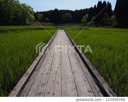 Ryuo-ga-fuchi, Nara Prefecture 125898788