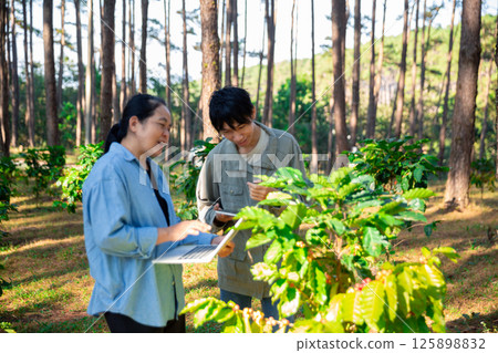 Harvest coffee bean ripe Red berries typing laptop computer check quality control plant coffee tree. Smart farmer using laptop in green coffee farm sustainable quality control agriculture technology 125898832