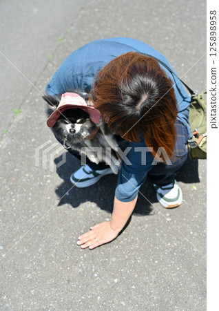 A female owner checking the temperature of the ground with her hand Summer material Long coat Chihuahua 125898958