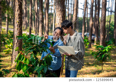 Harvest coffee bean ripe Red berries typing laptop computer check quality control plant coffee tree. Smart farmer using laptop in green coffee farm sustainable quality control agriculture technology 125899645