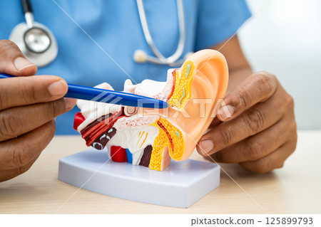 Asian doctor holding human ear model to learn and treat hearing loss in patient. 125899793