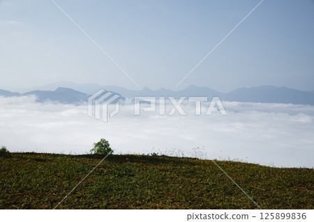 Mountain landscape. foggy morning. High angle view of trees in forest during foggy weather. Beautiful mountain and cloud natural landscape at sunrise in Thailand. evergreen coniferous forest in fog. 125899836