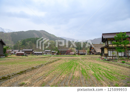 陰天的白川鄉 125899933