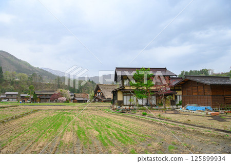 陰天的白川鄉 125899934