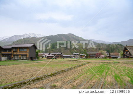 陰天的白川鄉 125899936