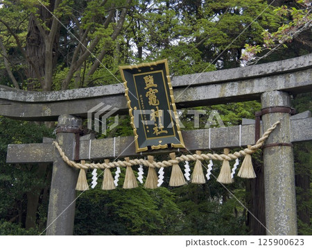 鹽沼神社 125900623
