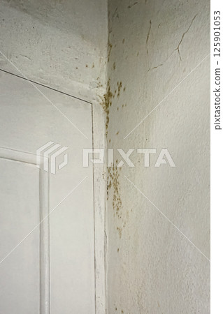 Mold and Mildew Stains on White Wall Corner by Door Highlighting Moisture Damage and Household Decay 125901053