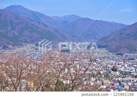 [Nagano Prefecture] View from Matsumoto City Shiroyama Park: Cherry blossoms in full bloom and the cityscape of Matsumoto City 125901198