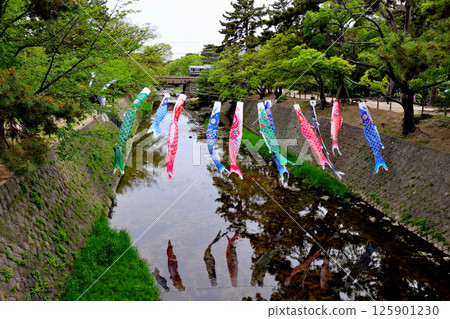 宿川河面上飄揚的鯉魚旗,背景是行駛在 JR 神戶線(東海道本線)上的 321 系列車 宿川河面上飄揚的鯉魚旗,背景是行駛在 JR 神戶線(東海道本線)上的 321 系列車 125901230