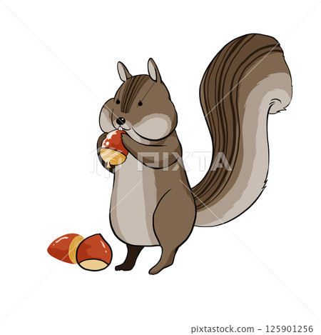Illustration material of a squirrel holding an acorn 125901256