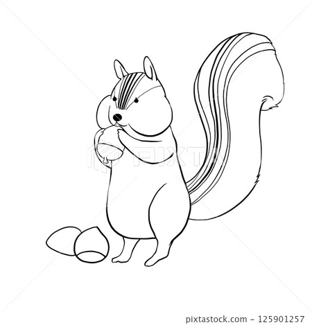 Illustration material of a squirrel holding an acorn Illustration material of a squirrel holding an acorn 125901257
