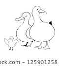 Duck family illustration 125901258