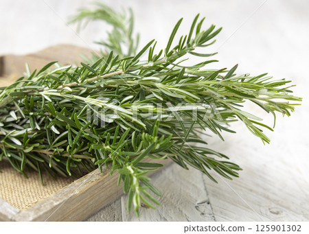 Fresh green rosemary sprigs in a tray on white rustic table closeup. Aromatic herb for culinary Fresh green rosemary sprigs in a tray on white rustic table closeup. Aromatic herb for culinary 125901302
