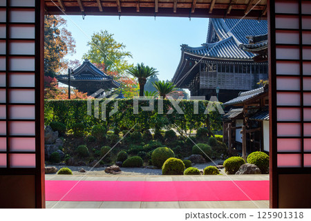 秋季的西教寺大本坊庭院,被紅葉包圍 秋季的西教寺大本坊庭院,被紅葉包圍 125901318