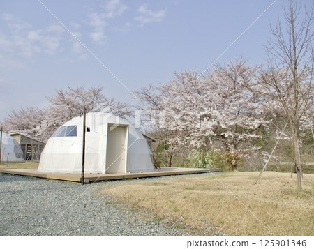 Glamping facility 125901346