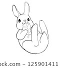 Illustration of a rolling rabbit 125901411